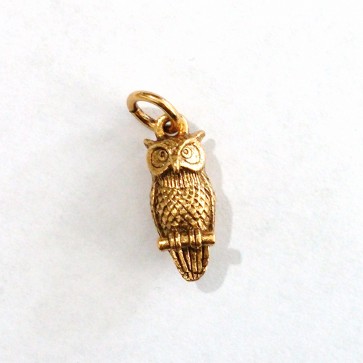 Owl Charm