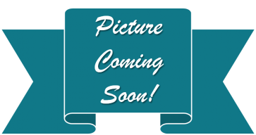 Ikat Picture Frame - Delta Gamma